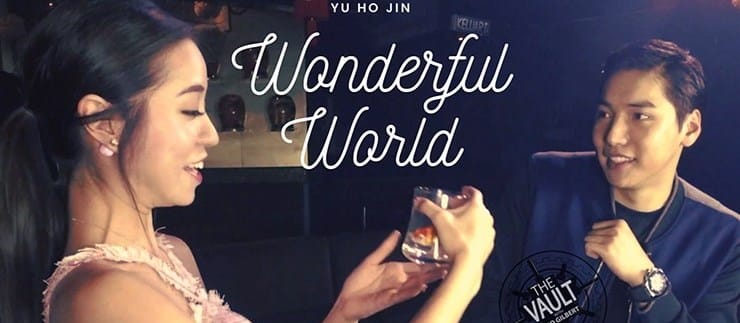 The Vault - Wonderful World
