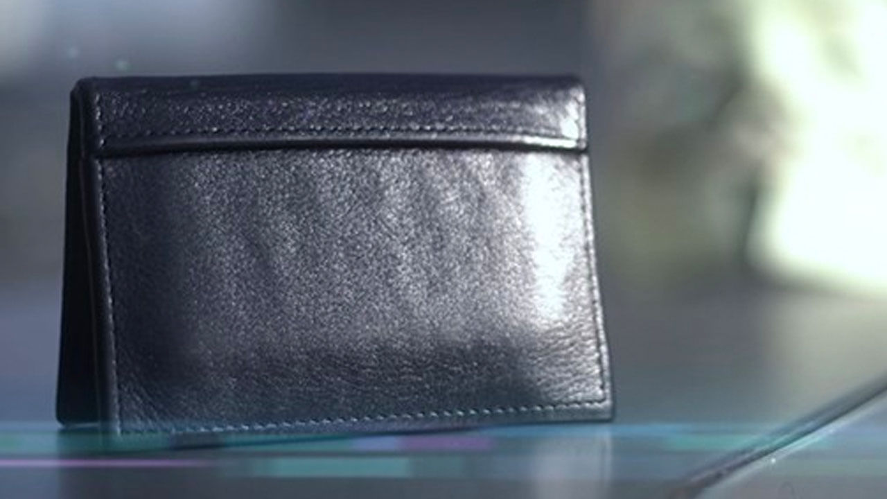 The Viper Wallet