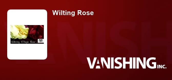 Wilting Rose