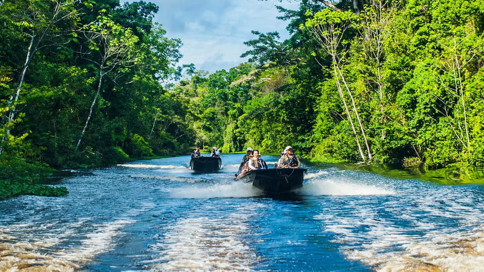 Wildlife and lush vegetation in the Peruvian Amazon