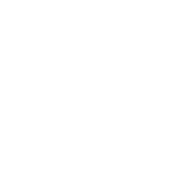 Zoom icon