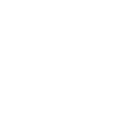 Printed by Expert Playing Card Company